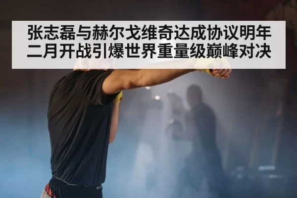 张志磊与赫尔戈维奇达成协议明年二月开战引爆世界重量级巅峰对决