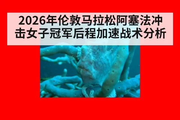 2026年伦敦马拉松阿塞法冲击女子冠军后程加速战术分析